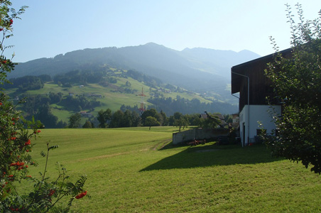 Almsommer am Dolthof in Weerberg